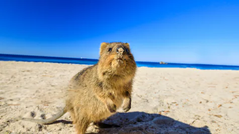 Perth, Australien