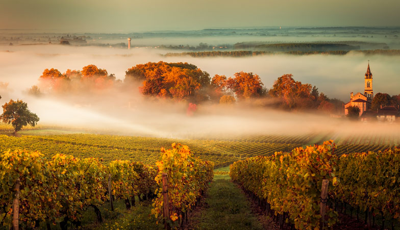 Bordeaux, Frankrike