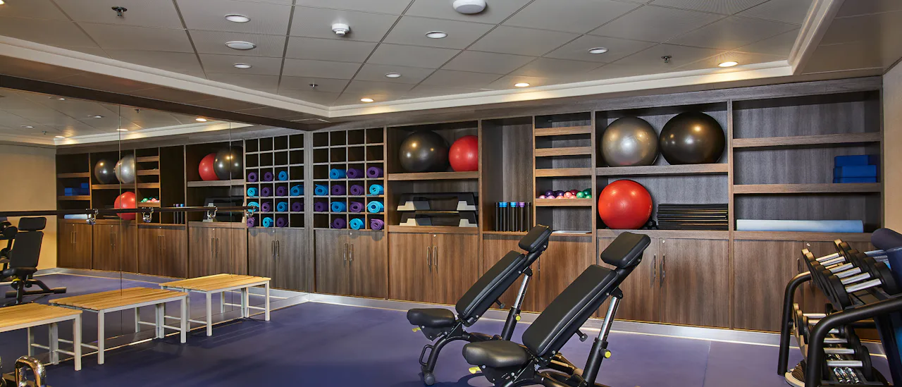 Gymmet