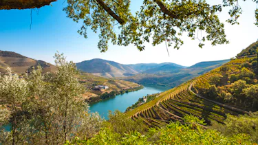Viking Helgrim, Douro