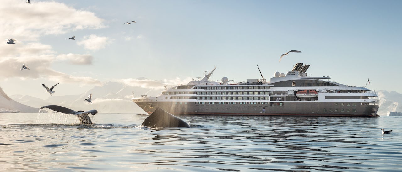 Le Boreal har ett förstärkt skrov anpassat för expeditionskryssningar till Antarktis, Svalbard och andra exotiska platser på jorden.