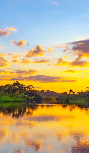 Magisk solnedgång i Amazonas, Brasilien.
