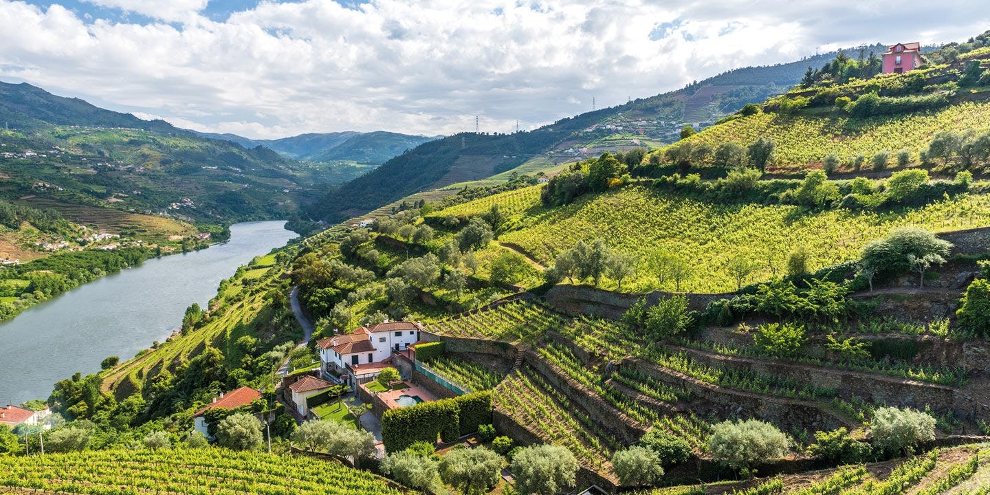 Grönskande Dourodalen.