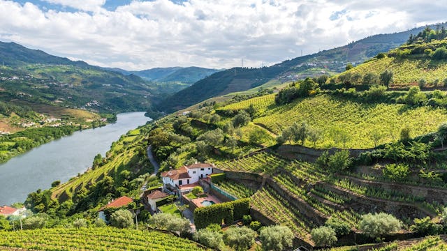 Grönskande Dourodalen.