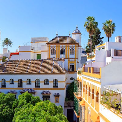 Vy över takåsarna i ett soligt Sevilla i Spanien.