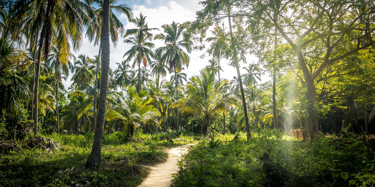 Tayrona Natural National Park i Santa Marta, Colombia.