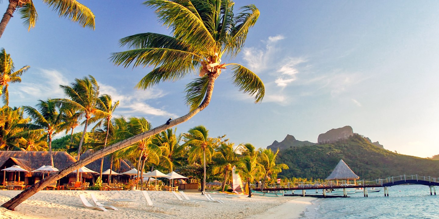 Strand med vit sand och palmer