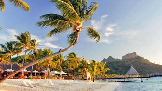 Strand med vit sand och palmer