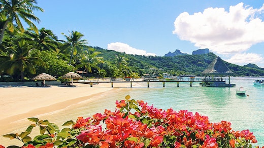Vacker strand på Bora Bora i Franska Polynesien.