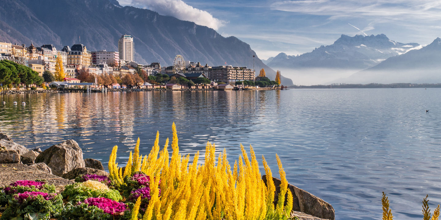 Genèvesjön i Schweiz, med blommor i förgrunden och staden och bergen i bakgrunden.
