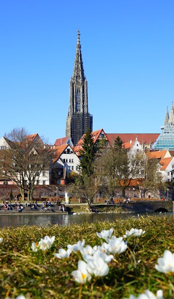 Vy över kyrkan Ulmer Münster i Ulm, Tyskland.