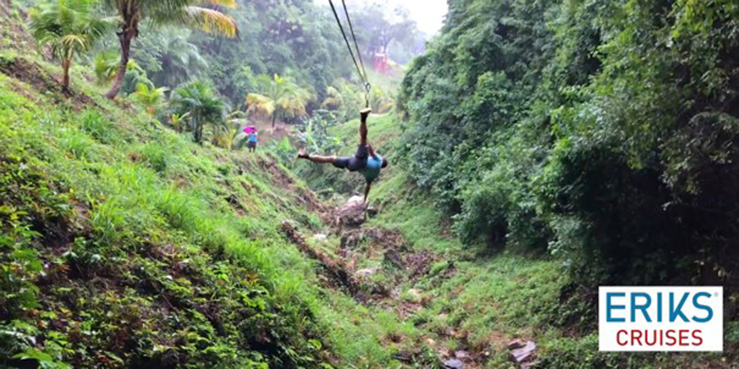 Uppe i trädkronorna