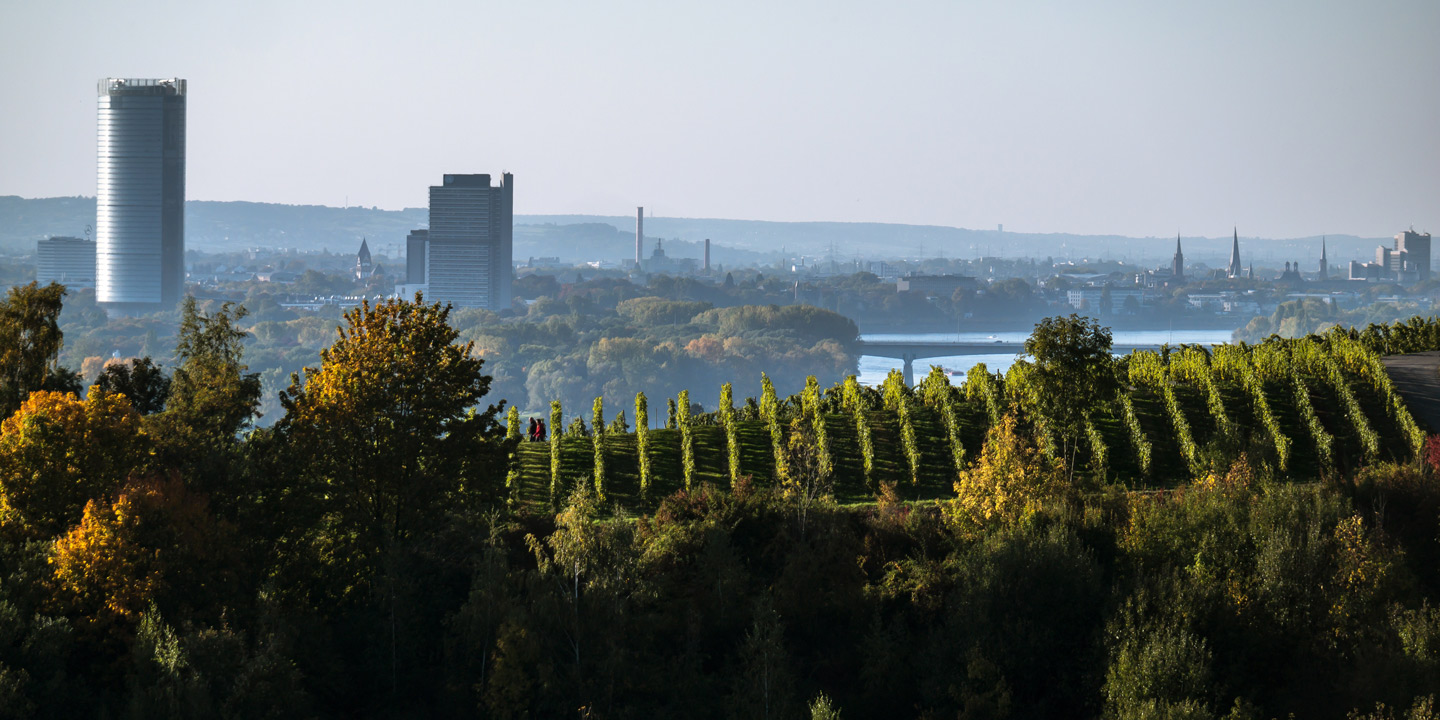 Grönska och höga skyskrapor i Bonn, Tyskland.
