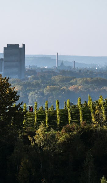 Grönska och höga skyskrapor i Bonn, Tyskland.