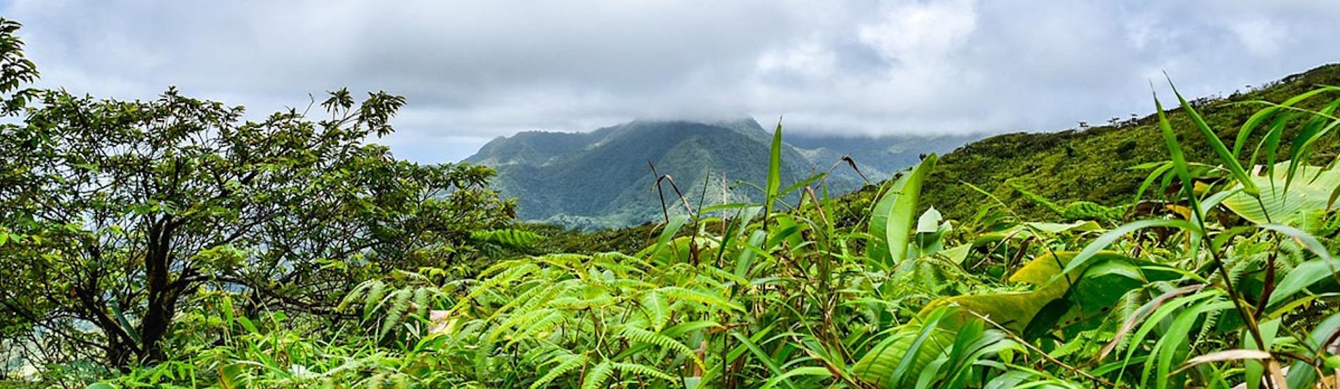 Den högsta toppen på St. Vincent och Grenadinerna - La Soufriere.