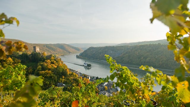 Vacker vy över ett höstigt landskap kring floden Rhen.